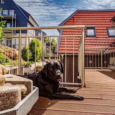 Appartamento City-appartements Am Goslar